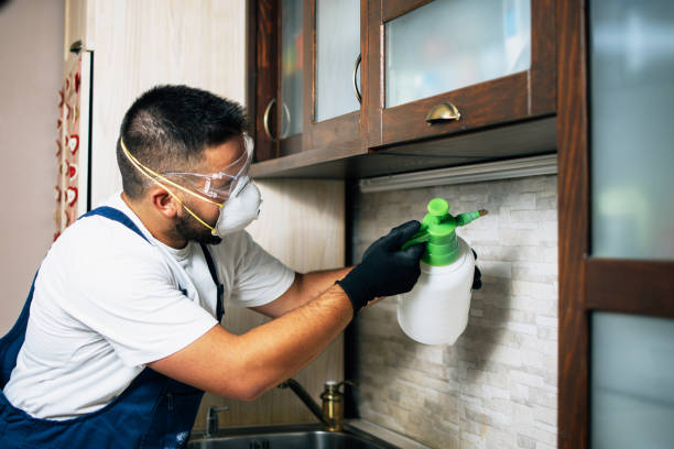 Best Ant Control Services  in Woodbury Center, CT