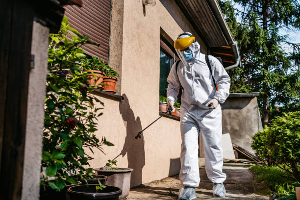 Best Pest Control Treatment  in Woodbury Center, CT