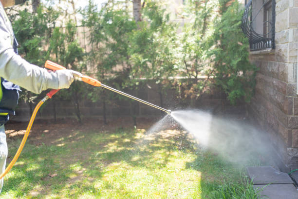 Best Pest Removal Services  in Woodbury Center, CT