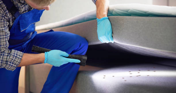 Best Cockroach Control Services  in Woodbury Center, CT