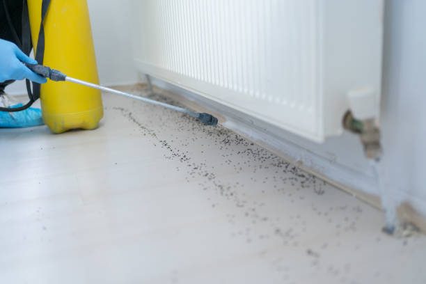 Best Mosquito Control Services  in Woodbury Center, CT